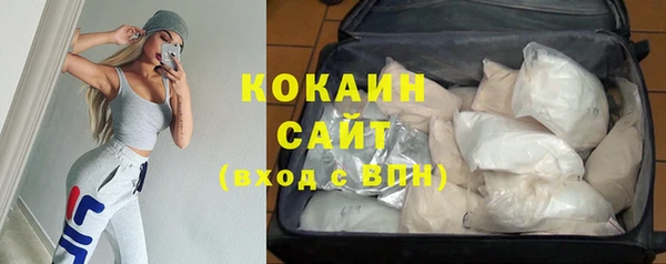 хмурый Дмитриев